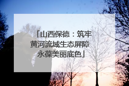 山西保德：筑牢黄河流域生态屏障 永葆美丽底色