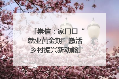 崇信：家门口“就业黄金期”激活乡村振兴新动能