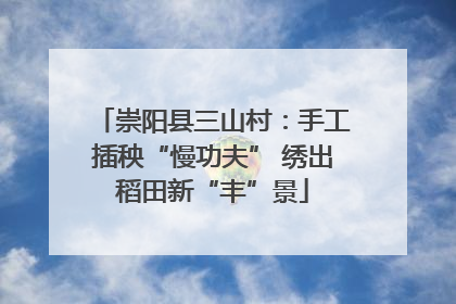 崇阳县三山村：手工插秧“慢功夫” 绣出稻田新“丰”景
