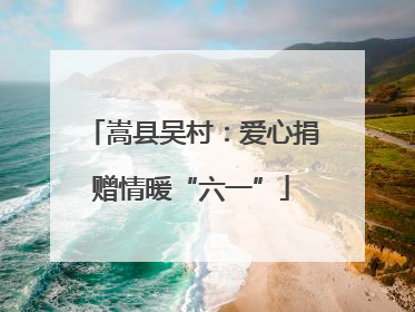 嵩县吴村：爱心捐赠情暖“六一”