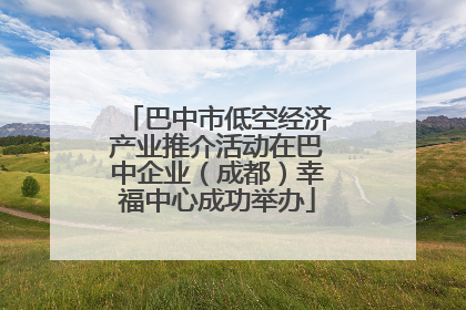 巴中市低空经济产业推介活动在巴中企业（成都）幸福中心成功举办