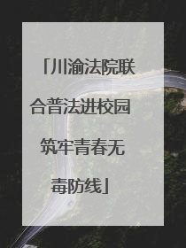 川渝法院联合普法进校园 筑牢青春无毒防线