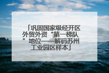 巩固国家级经开区外贸外资“第一梯队”地位——解码苏州工业园区样本