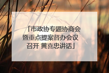 市政协专题协商会暨重点提案督办会议召开 黄喜忠讲话