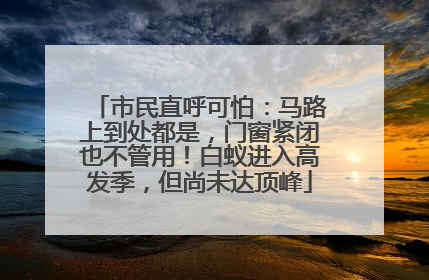 市民直呼可怕：马路上到处都是，门窗紧闭也不管用！白蚁进入高发季，但尚未达顶峰
