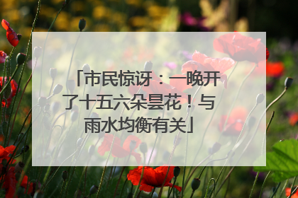 市民惊讶：一晚开了十五六朵昙花！与雨水均衡有关
