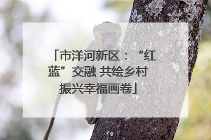 市洋河新区：“红蓝”交融 共绘乡村振兴幸福画卷