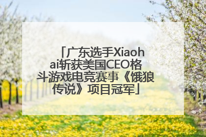 广东选手Xiaohai斩获美国CEO格斗游戏电竞赛事《饿狼传说》项目冠军