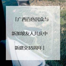 广西百色民众与新加坡友人共庆中新建交35周年