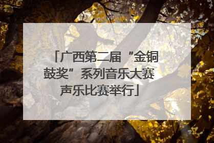 广西第二届“金铜鼓奖”系列音乐大赛声乐比赛举行