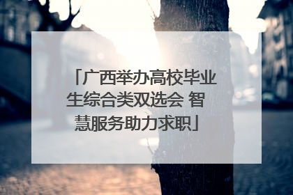 广西举办高校毕业生综合类双选会 智慧服务助力求职