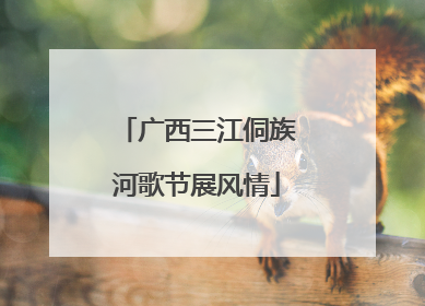 广西三江侗族河歌节展风情