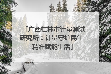 广西桂林市计量测试研究所：计量守护民生 精准赋能生活