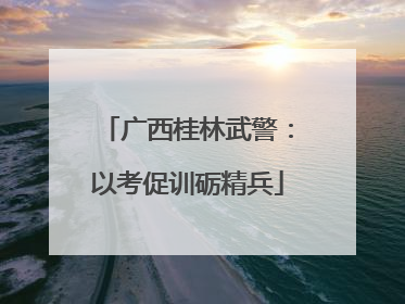 广西桂林武警：以考促训砺精兵