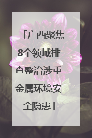 广西聚焦8个领域排查整治涉重金属环境安全隐患