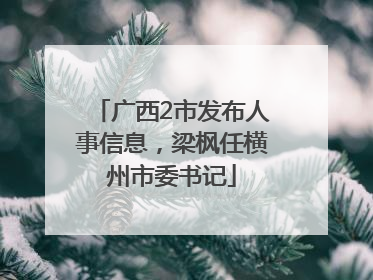 广西2市发布人事信息，梁枫任横州市委书记