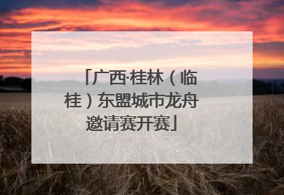 广西·桂林（临桂）东盟城市龙舟邀请赛开赛