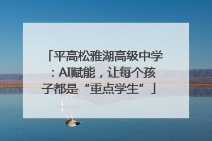 平高松雅湖高级中学：AI赋能，让每个孩子都是“重点学生”