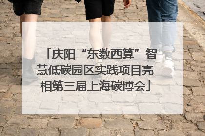 庆阳“东数西算”智慧低碳园区实践项目亮相第三届上海碳博会