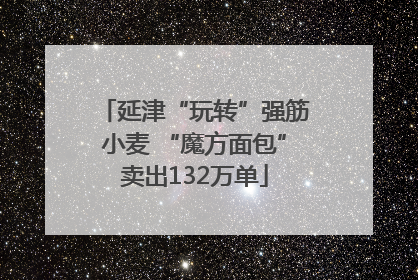 延津“玩转”强筋小麦 “魔方面包”卖出132万单