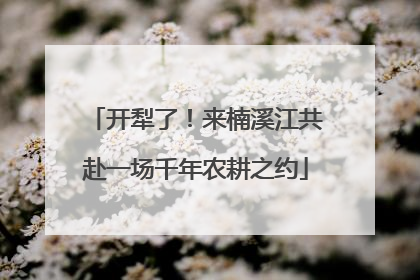 开犁了！来楠溪江共赴一场千年农耕之约