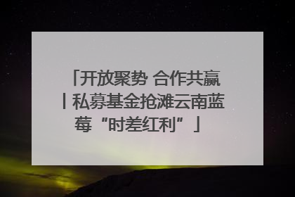 开放聚势 合作共赢丨私募基金抢滩云南蓝莓“时差红利”