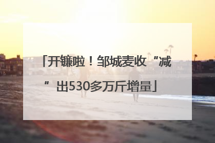 开镰啦！邹城麦收“减”出530多万斤增量