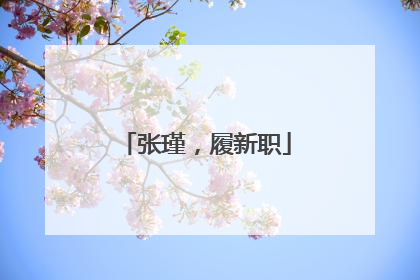 张瑾，履新职