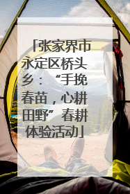 张家界市永定区桥头乡：“手挽春苗，心耕田野”春耕体验活动