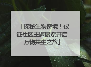 探秘生物奇境！仪征社区主题展览开启万物共生之旅