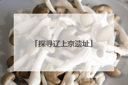 探寻辽上京遗址