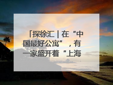 探徐汇｜在“中国最好公寓”，有一家盛开着“上海玫瑰”的书店