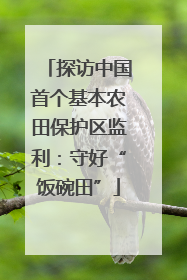 探访中国首个基本农田保护区监利：守好“饭碗田”
