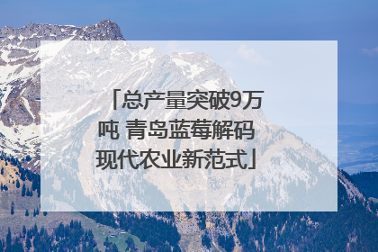 总产量突破9万吨 青岛蓝莓解码现代农业新范式