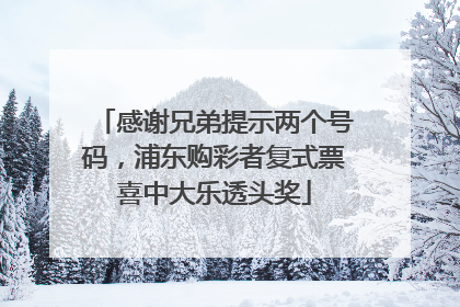 感谢兄弟提示两个号码，浦东购彩者复式票喜中大乐透头奖