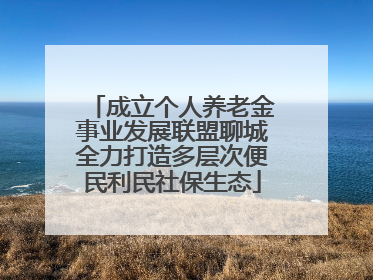 成立个人养老金事业发展联盟聊城全力打造多层次便民利民社保生态