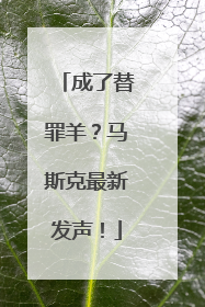 成了替罪羊？马斯克最新发声！
