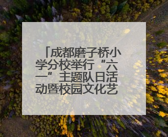成都磨子桥小学分校举行“六一”主题队日活动暨校园文化艺术节
