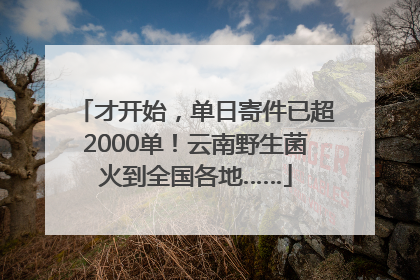 才开始，单日寄件已超2000单！云南野生菌火到全国各地……