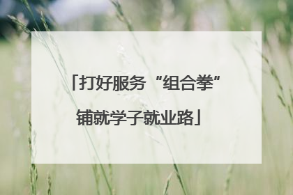 打好服务“组合拳” 铺就学子就业路