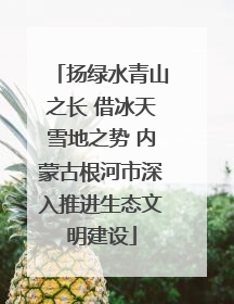 扬绿水青山之长 借冰天雪地之势 内蒙古根河市深入推进生态文明建设