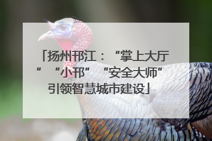 扬州邗江：“掌上大厅”“小邗”“安全大师”引领智慧城市建设