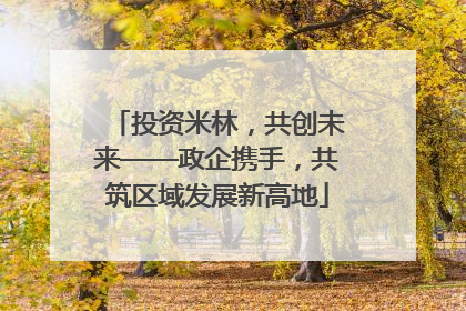 投资米林，共创未来——政企携手，共筑区域发展新高地