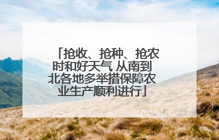 抢收、抢种、抢农时和好天气 从南到北各地多举措保障农业生产顺利进行