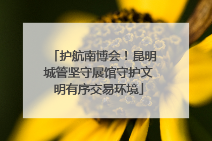护航南博会！昆明城管坚守展馆守护文明有序交易环境