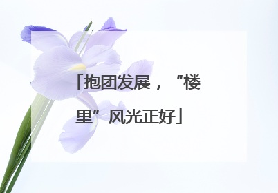 抱团发展，“楼里”风光正好