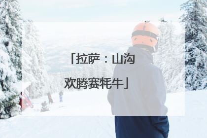 拉萨：山沟欢腾赛牦牛