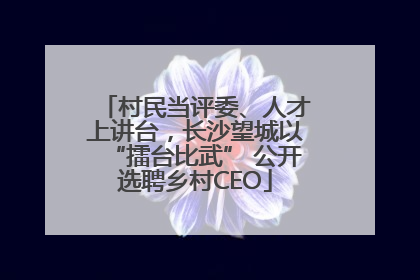 村民当评委、人才上讲台，长沙望城以“擂台比武” 公开选聘乡村CEO