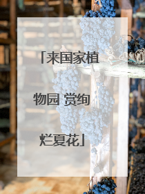 来国家植物园 赏绚烂夏花