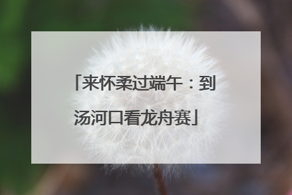 来怀柔过端午：到汤河口看龙舟赛